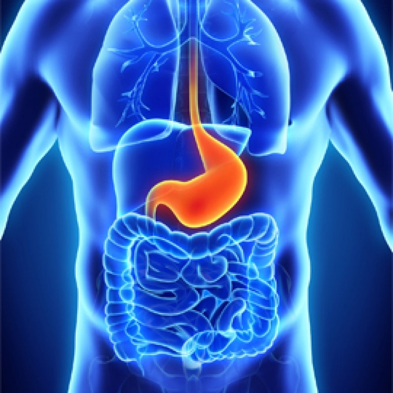 Stomach Ulcer