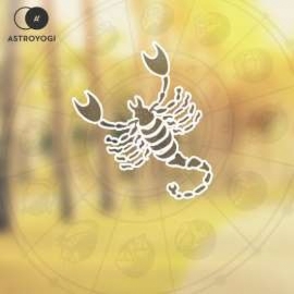 Birth Day Yagya Scorpio