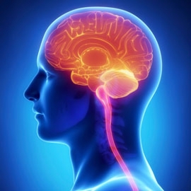 For improvement in income from Medical (Neurology) business