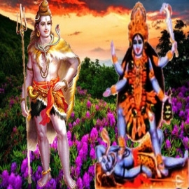 Yagya to remove Bad Karma, Multiple Dosha's & Curses